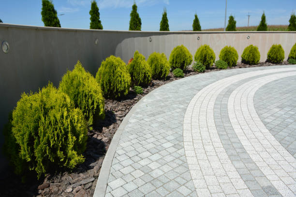 Best Local Driveway Pavers  in Bridgeport, TX